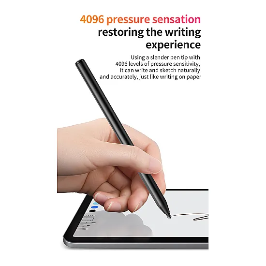Ruidian EMR Pencil For Samsung/Wacom (With eraser) - D003