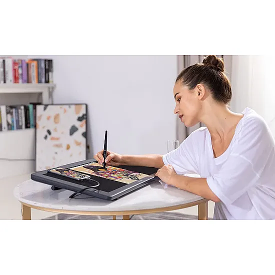 Huion Kamvas RDS-220