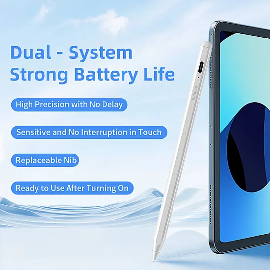 Ruidian Dual-System Stylus Pen for iPad with Palm Rejection & Universal Screens (iOS & Android) - QLD100