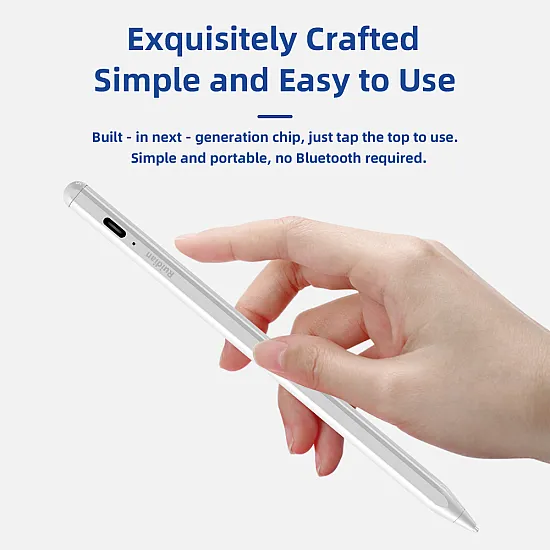 Ruidian Dual-System Stylus Pen for iPad with Palm Rejection & Universal Screens (iOS & Android) - QLD100
