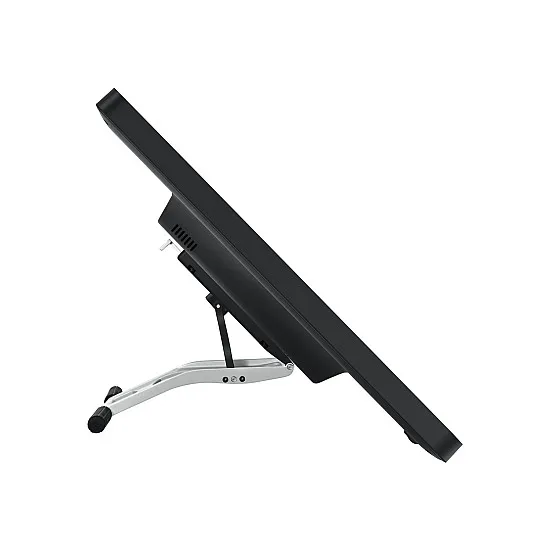 Huion KAMVAS Pro 24