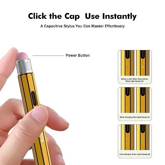Ruidian 2-in-1 Stylus Pen for iPad + Passive pen - 738
